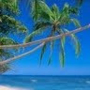 Meet your Posher, C.a.